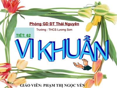 Bài giảng Sinh học Lớp 6 - Tiết 62, Bài 50: Vi khuẩn - Phạm Thị Ngọc Yến