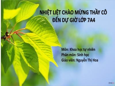 Bài giảng Sinh học Lớp 7 - Tiết 3, Bài 22: Quang hợp ở thực vật - Nguyễn Thị Hoa