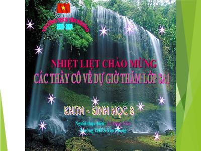 Bài giảng Sinh học Lớp 8 - Bài 34: Hệ hô hấp ở người - Lê Đăng Niên
