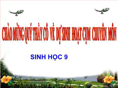 Bài giảng Sinh học Lớp 9 - Tiết 14, Bài 15: ADN