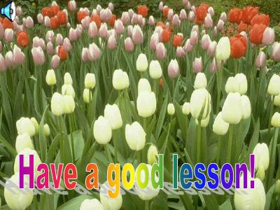 Bài giảng Tiếng Anh Lớp 6 - Period 52, Unit 8: Out and about. Lesson 7: Grammar practice