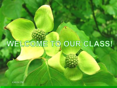 Bài giảng Tiếng Anh Lớp 6 - Unit 4: Big or small?. Lesson 3: My Class (B1-B5)