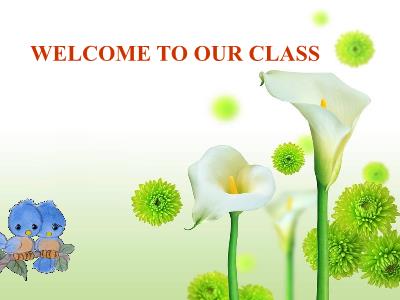 Bài giảng Tiếng Anh Lớp 9 - Period 74, Unit 12: An overcrowded world. Lesson 3: A closer look 2