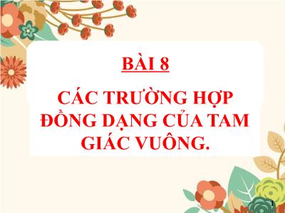 Bài giảng Toán Lớp 8 - Bài 8: Các trường hợp đồng dạng của tam giác vuông