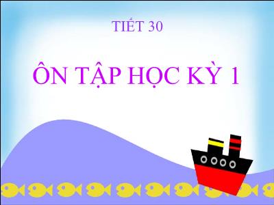 Bài giảng Toán Lớp 9 - Tiết 30: Ôn tập học kỳ 1