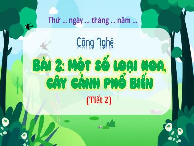 Bài giảng Công nghệ Lớp 4 (Kết nối tri thức) - Chủ đề: Công nghệ và đời sống - Bài 2: Một số loại hoa, cây cảnh phổ biến (Tiết 2) - Năm học 2024-2025