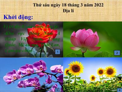 Bài giảng Địa lí Lớp 5 - Bài 20: Châu Âu - Năm học 2021-2022