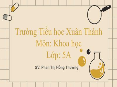 Bài giảng Khoa học Lớp 5 - Bài 22: Tre, mây, song - Năm học 2023-2024 - Phan Thị Hồng Thương