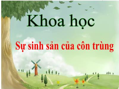 Bài giảng Khoa học Lớp 5 - Bài 56: Sự sinh sản của côn trùng - Năm học 2022-2023