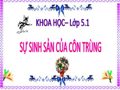Bài giảng Khoa học Lớp 5 - Bài 56: Sự sinh sản của côn trùng - Năm học 2023-2024