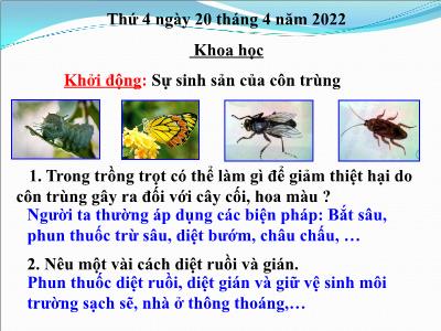 Bài giảng Khoa học Lớp 5 - Bài 57: Sự sinh sản của ếch - Năm học 2021-2022