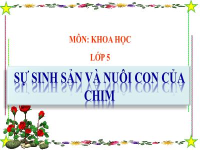 Bài giảng Khoa học Lớp 5 - Bài 58: Sự sinh sản và nuôi con của chim - Năm học 2023-2024