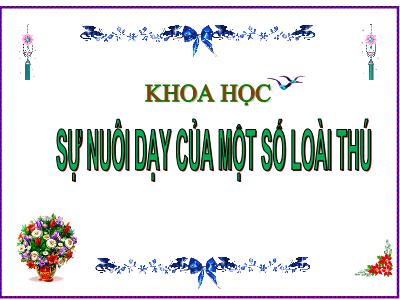 Bài giảng Khoa học Lớp 5 - Bài 60: Sự nuôi và dạy của một số loài thú - Năm học 2023-2024