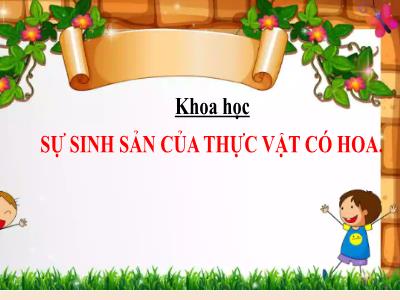 Bài giảng Khoa học Lớp 5 (Kết nối tri thức) - Chủ đề 3: Thực vật và động vật - Bài 13: Sinh sản của thực vật có hoa - Năm học 2024-2025