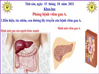 Bài giảng Khoa học Lớp 5 - Phòng bệnh viêm gan A - Năm học 2021-2022