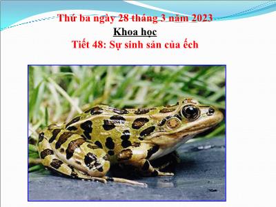 Bài giảng Khoa học Lớp 5 - Tiết 48. Bài 57: Sự sinh sản của ếch - Năm học 2022-2023