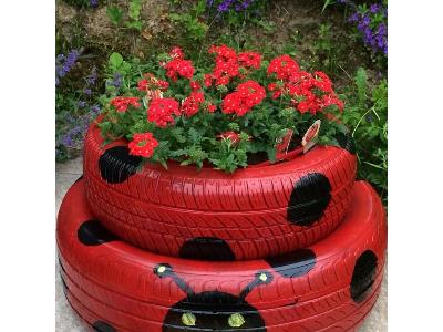 Bài giảng môn Toán Lớp 5 - Chu vi hình tròn - Năm học 2021-2022