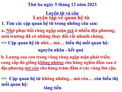 Bài giảng Tiếng Việt Lớp 5 (Luyện từ và câu) - Tuần 13: Luyện tập về quan hệ từ - Năm học 2023-2024