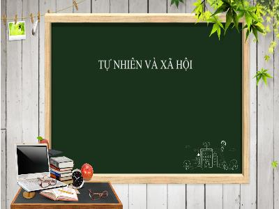 Bài giảng Tự nhiên và Xã hội Lớp 1 (Kết nối tri thức) - Chủ đề 3: Cồng đồng địa phương - Bài 13: An toàn trên đường (Tiết 2)
