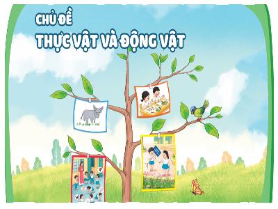 Bài giảng Tự nhiên và Xã hội Lớp 1 (Kết nối tri thức) - Chủ đề 4: Thực vật và động vật - Bài 16: Chăm sóc và bảo vệ cây trồng