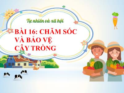 Bài giảng Tự nhiên và Xã hội Lớp 1 (Kết nối tri thức) - Chủ đề 4: Thực vật là động vật - Bài 16: Chăm sóc và bảo vệ cây trồng