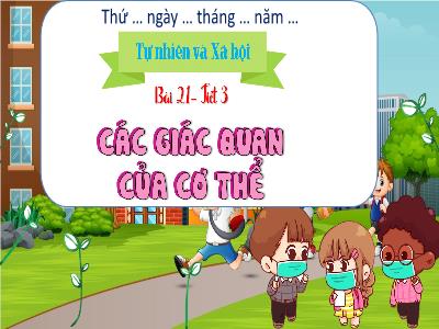 Bài giảng Tự nhiên và Xã hội Lớp 1 (Kết nối tri thức) - Chủ đề 5: Con người và sức khỏe - Bài 21: Các giác quan của cơ thể (Tiết 3)