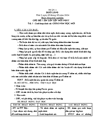 Kế hoạch bài dạy các môn Lớp 5 - Tuần 1 - Năm học 2024-2025 - Trần Thị Huyền