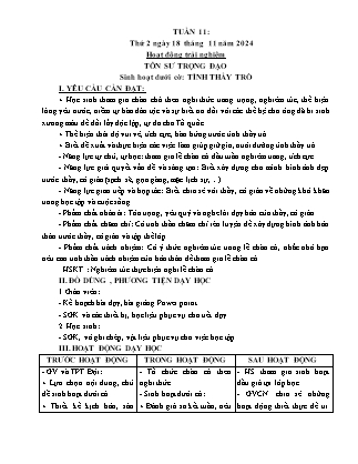 Kế hoạch bài dạy các môn Lớp 5 - Tuần 11 - Năm học 2024-2025 - Trần Thị Huyền