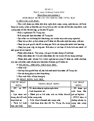 Kế hoạch bài dạy các môn Lớp 5 - Tuần 2 - Năm học 2024-2025 - Nguyễn Thị Thu Hoài