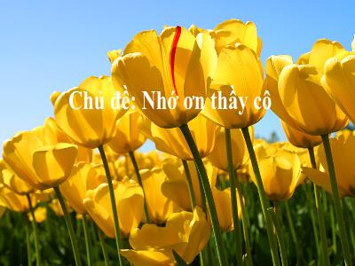 Bài giảng Âm nhạc 6 - Chủ đề 3: Nhớ ơn thầy cô - Tiết 9: Lí thuyết âm nhạc 4/4. Đọc nhạc Bài đọc nhạc số 2. Ôn bài hát Thầy cô là tất cả