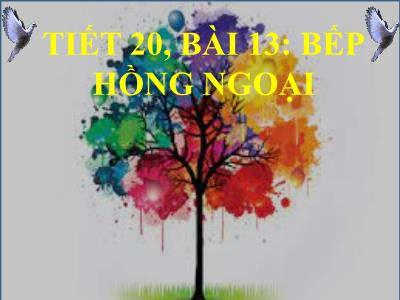 Bài giảng Công nghệ 6 - Tiết 20, Bài 13: Bếp hồng ngoại