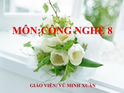 Bài giảng Công nghệ 8 - Tiết 18, Bài 32: Vai trò của điện năng trong sản xuất và đời sống - Vũ Minh Xuân