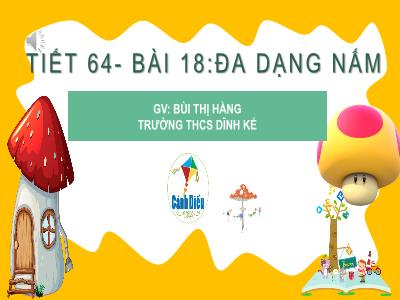 Bài giảng Khoa học tự nhiên 6 - Tiết 64, Bài 18: Đa dạng nấm - Bùi Thị Hằng