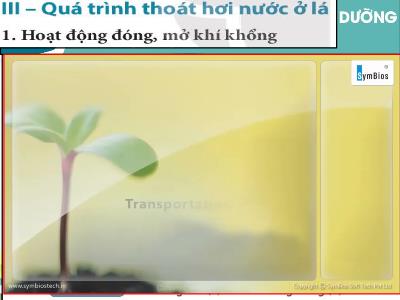 Bài giảng Khoa học tự nhiên 7 - Bài 30: Trao đổi nước và chất dinh dưỡng ở thực vật