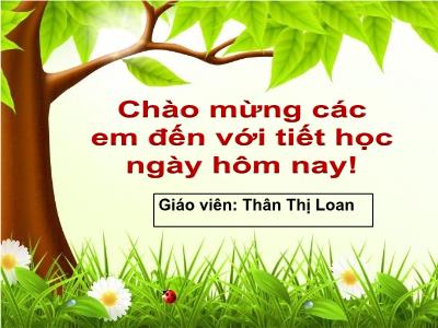 Bài giảng Ngữ văn 9 - Tiết 44: Chiếc lược ngà - Thân Thị Loan