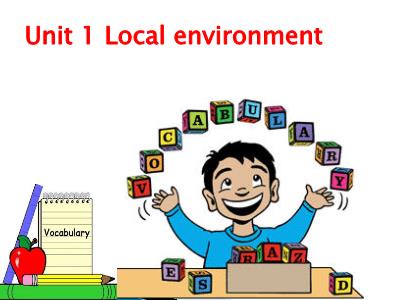 Bài giảng Tiếng Anh Lớp 9 - Unit 1: Local environment