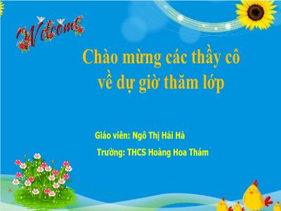 Bài giảng Toán 7 - Tiết 8: Bài tập cuối chương III (Tiếp) - Ngô Thị Hải Hà