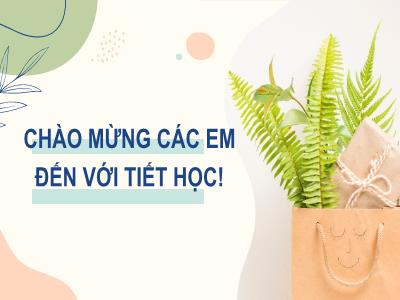 Bài giảng Toán 7 - Tiết: Bài luyện tập chung (Trang 92)